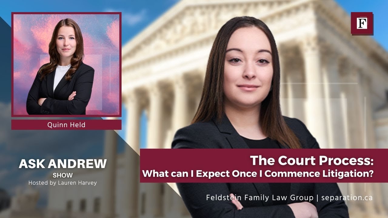The Court Process: What can I Expect Once I Commence Litigation?  | #AskAndrew
