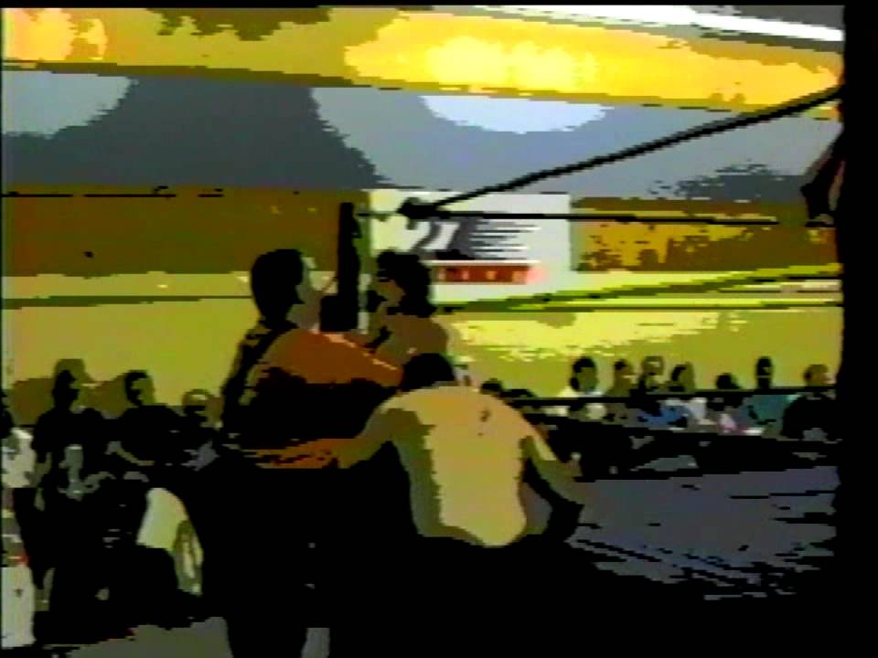 PWI Pro Wrestling International