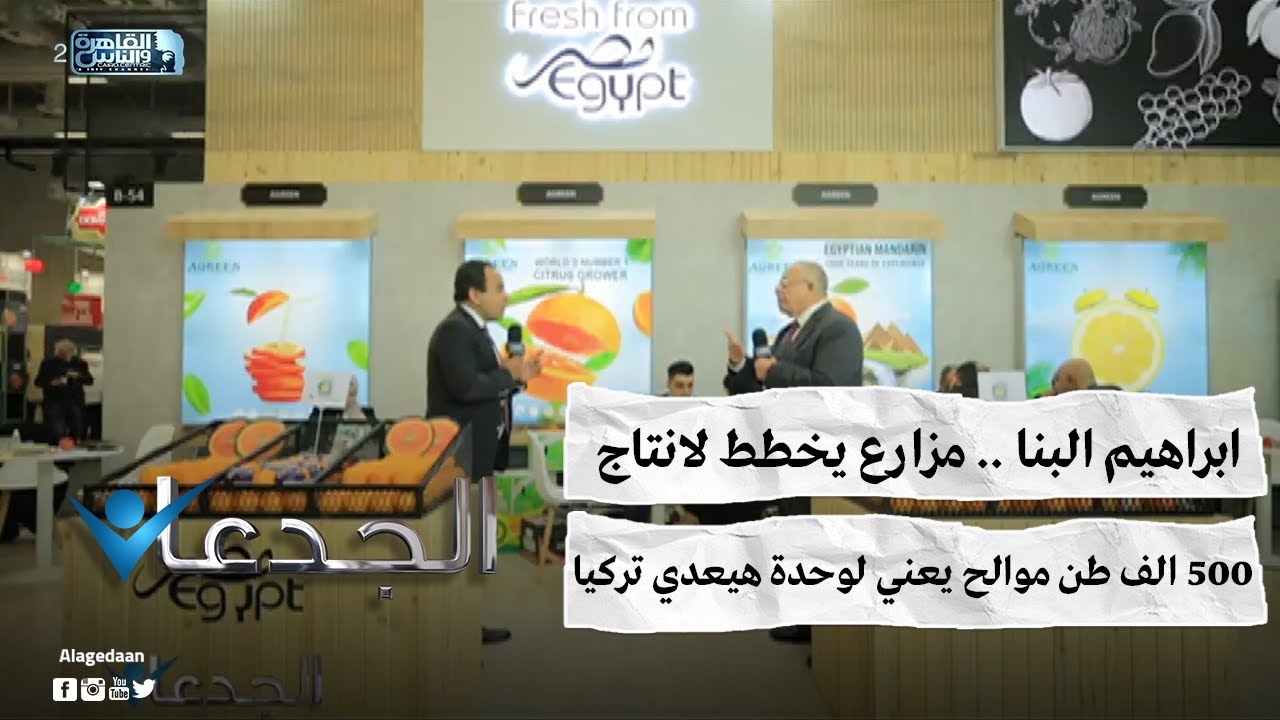 ابراهيم البنا .. مزارع يخطط لانتاج ٥٠٠ الف طن موالح ..  يعني لوحدة هيعدي تركيا