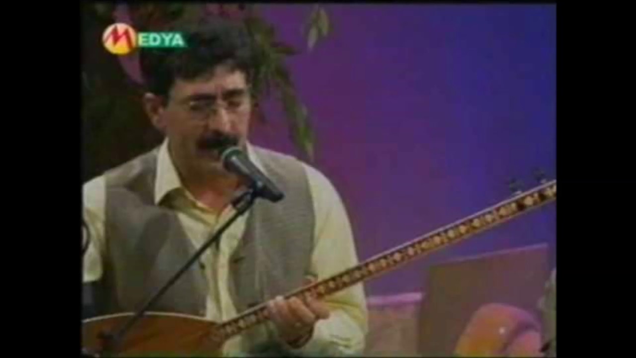 xelil xemgin - tu hatî nav şêrîna min