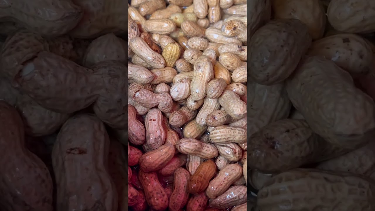 How to Make Southern Boiled Peanuts 🥜🍶