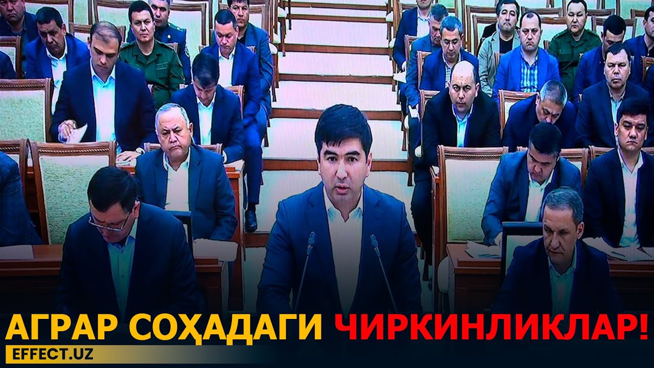 ВАЗИР ҚАМАЛДИ, КЛАСТЕРДА ПУЛ ЙЎҚ, ФЕРМЕРДА ЭСА ВАРИАНТ… БОТҚОҚДАГИ СОҲАНИНГ ЧИРКИН ЎЙИНЛАРИ ҲАҚИДА