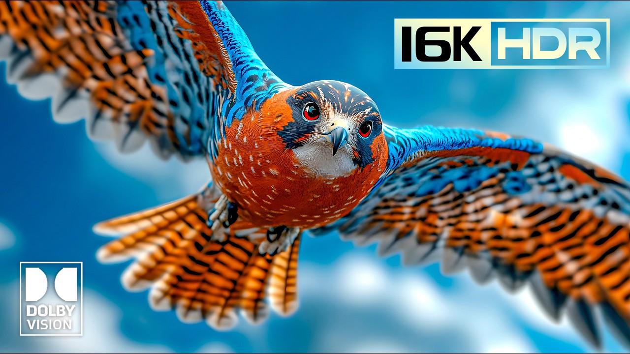 Most Breathtaking 16K HDR ULTRA HD | Dolby Vision 120fps (8K/4K Video TV)