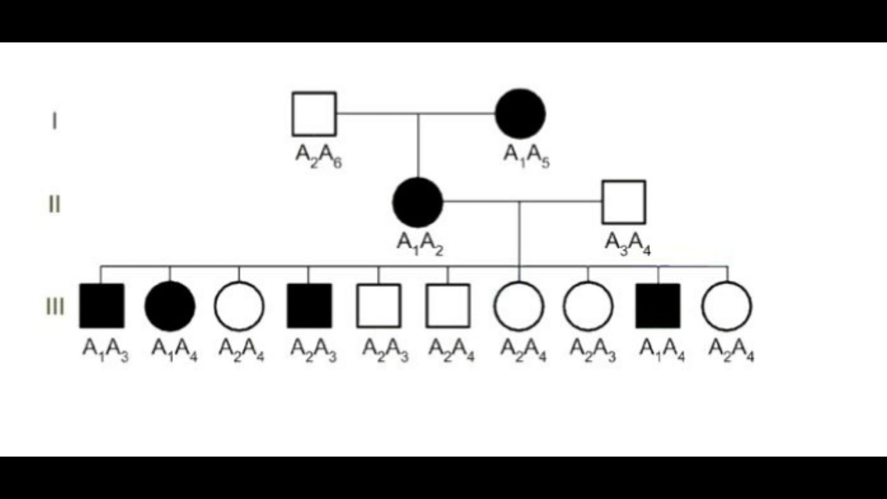 Calculate likelihood of linkage disequilibrium from given genotypic pedigree | Plot theta vs LOD