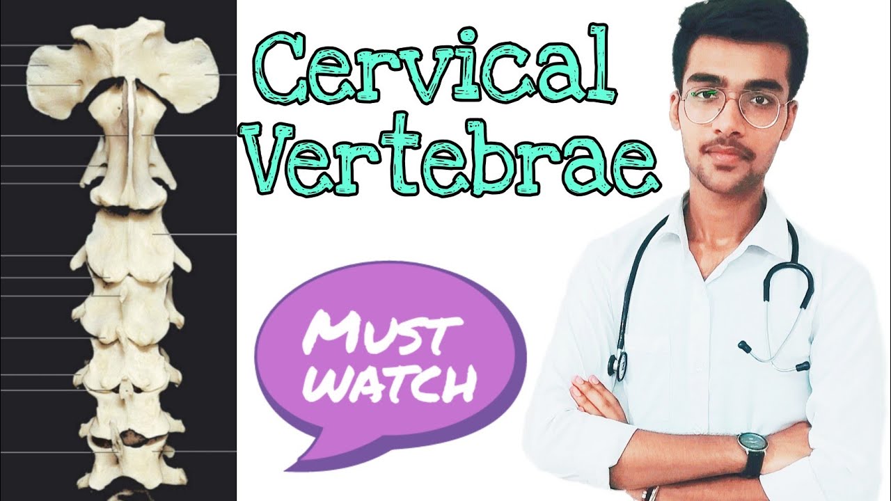 Cervical Vertebrae || Cattle, Horse, Dog, Pig ,Rabbit, Fowl || Aniket tyagi