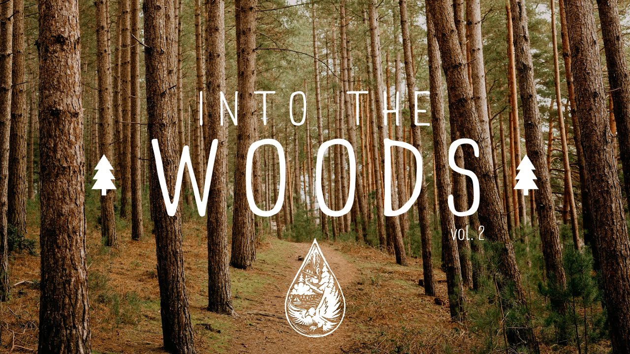 Into The Woods 🌲 - A Mysterious Indie/Folk/Pop Playlist | Vol. 2