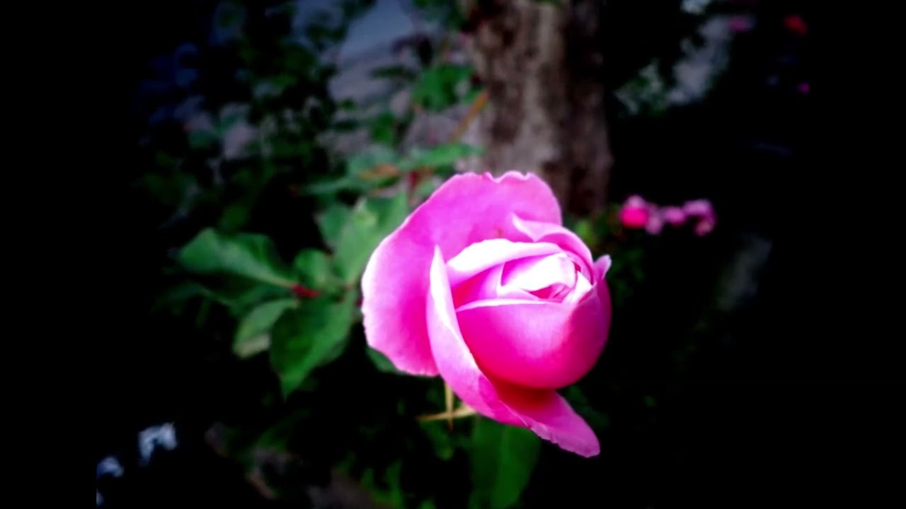 12min 60BPM SAX PIANO JAZZ FUNK JAM IMPROV música ambiental lo-fi insônia descanso #spa सैक्सोफोन
