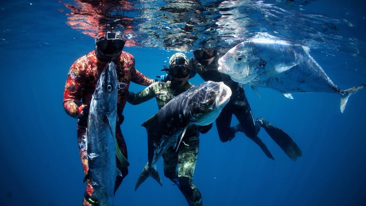 Pesca Sub Bahia, Expedição Nova Viçosa 2023