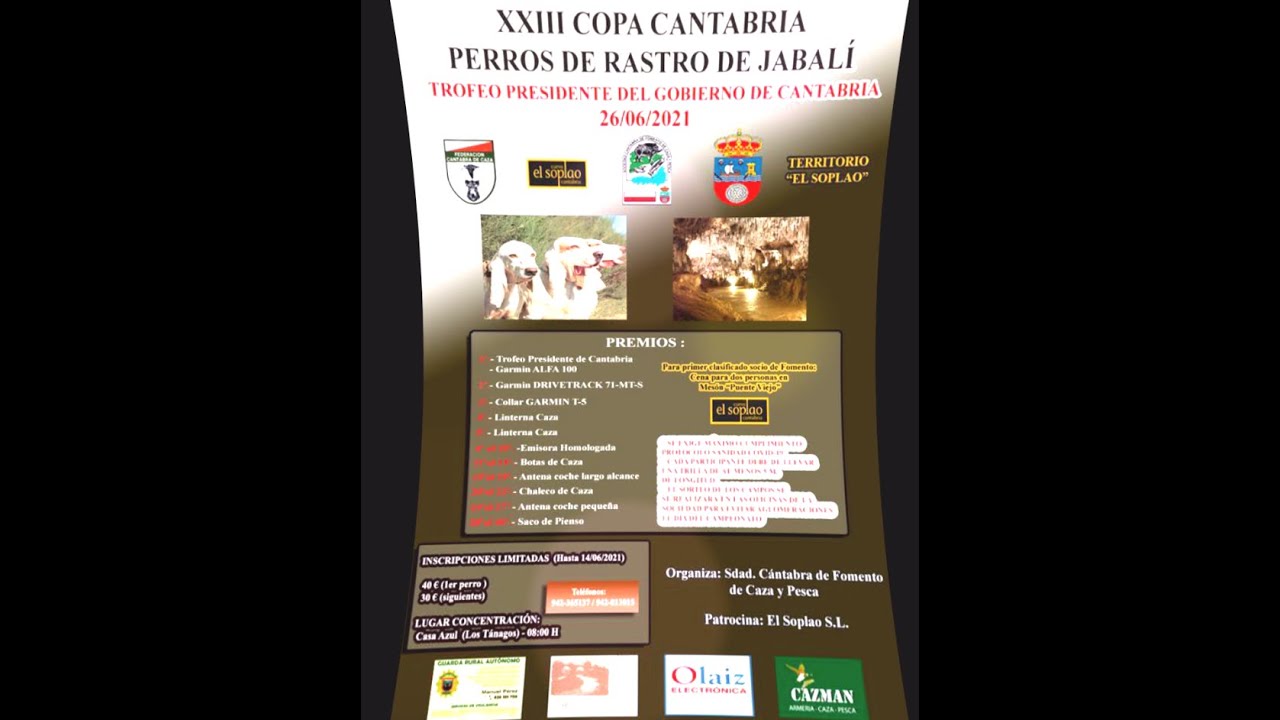 XXIII Copa Presidente de Cantabria, Perros de Rastro Atraillados sobre jabalí 26/6/2021