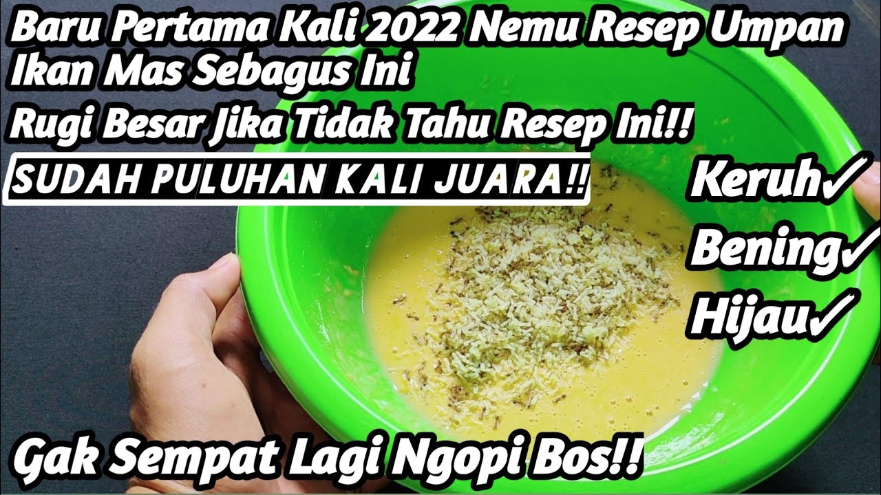 Baru Kali Ini Nemu Resep Umpan Sebagus Ini Umpan Sadis Nih Bos/Di Jamin Keranjang Kalian Penuh!!