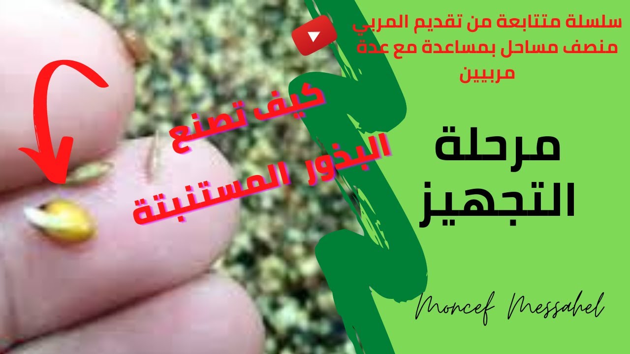 طريقة إستنبات البذور في المنزل