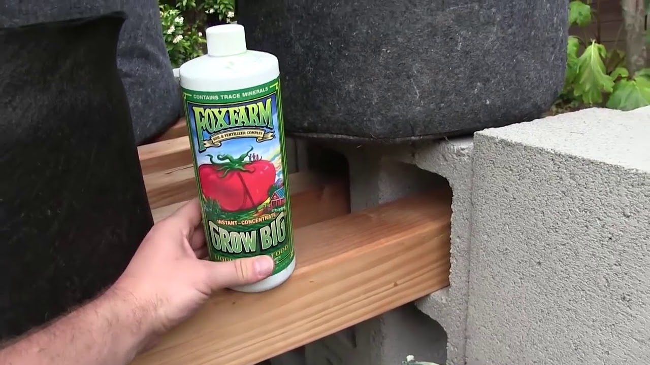 Outdoor Soil vs Coco Hydroponics Vegetative Cycle Results