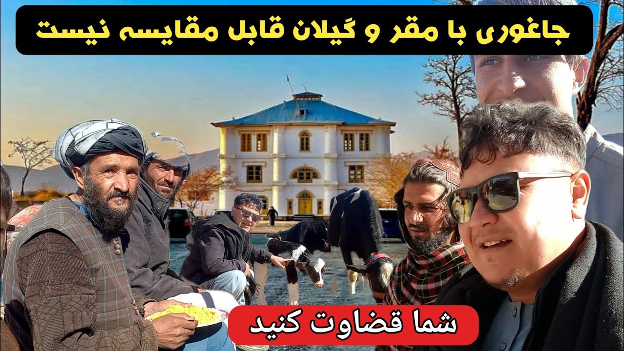 تفاوت ولسوالی مقر و گیلان با جاغوری رسانه روستا در مقر و گیلان ولایت غزنی[ moqor afghanistan 