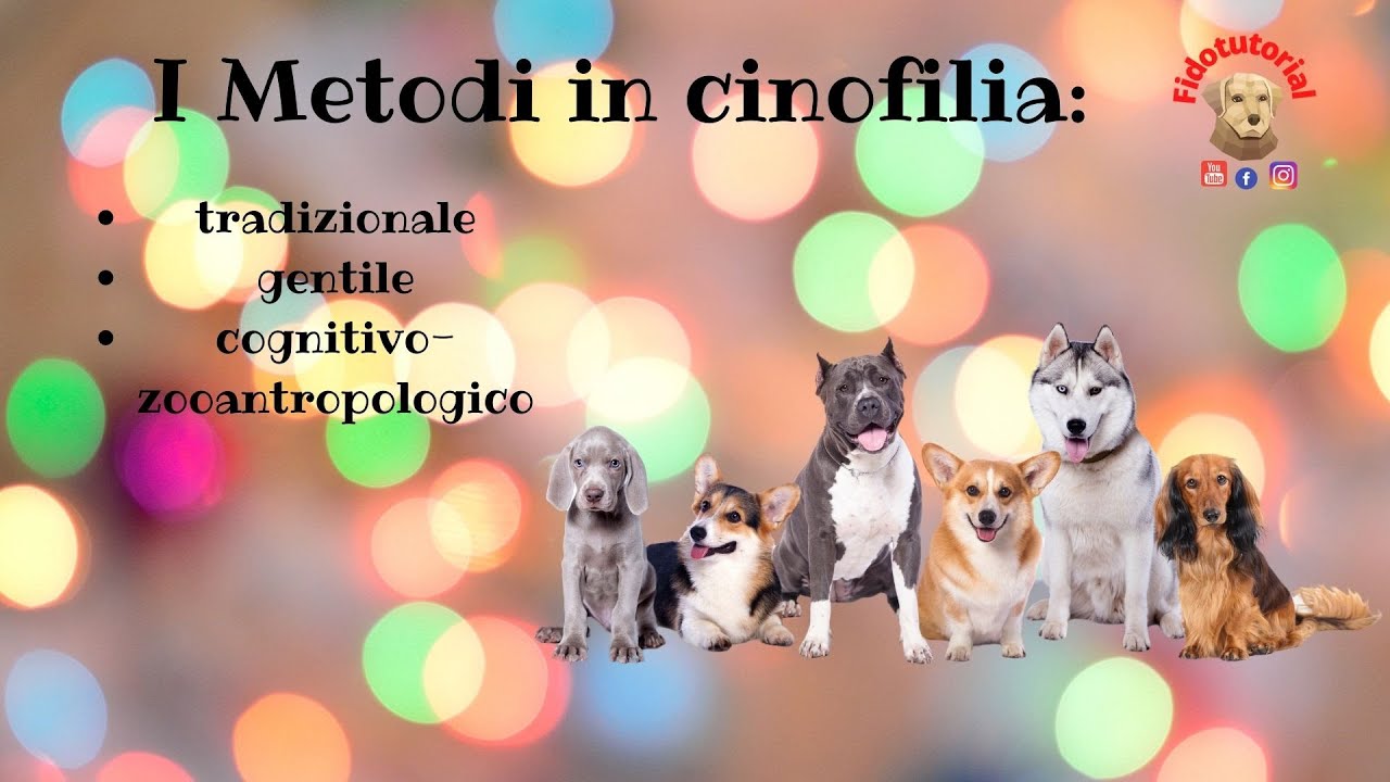 Metodo Tradizionale   Gentilista  Zooantropologico  Scopriamo di più