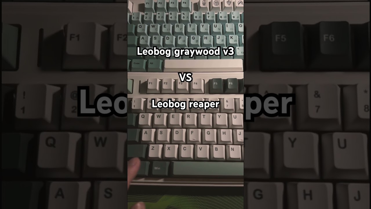 Aula F87 with leobog graywood v3 switch VS Aula F75 with leobog reaper switch. #mechanicalkeyboard