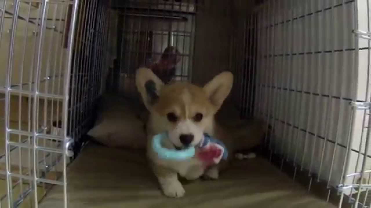 My First Day At Home