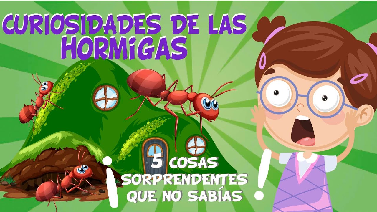 5 COSAS QUE NO SABÍAS DE LAS HORMIGAS | CURIOSIDADES FASCINANTES PARA NIÑOS