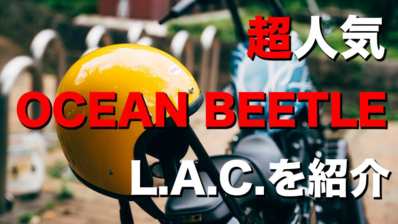 人気のOCEANBEETLE L.A.Cが届いたから紹介します【ハーレーダビッドソン】【XL1200NS】【motovlog】
