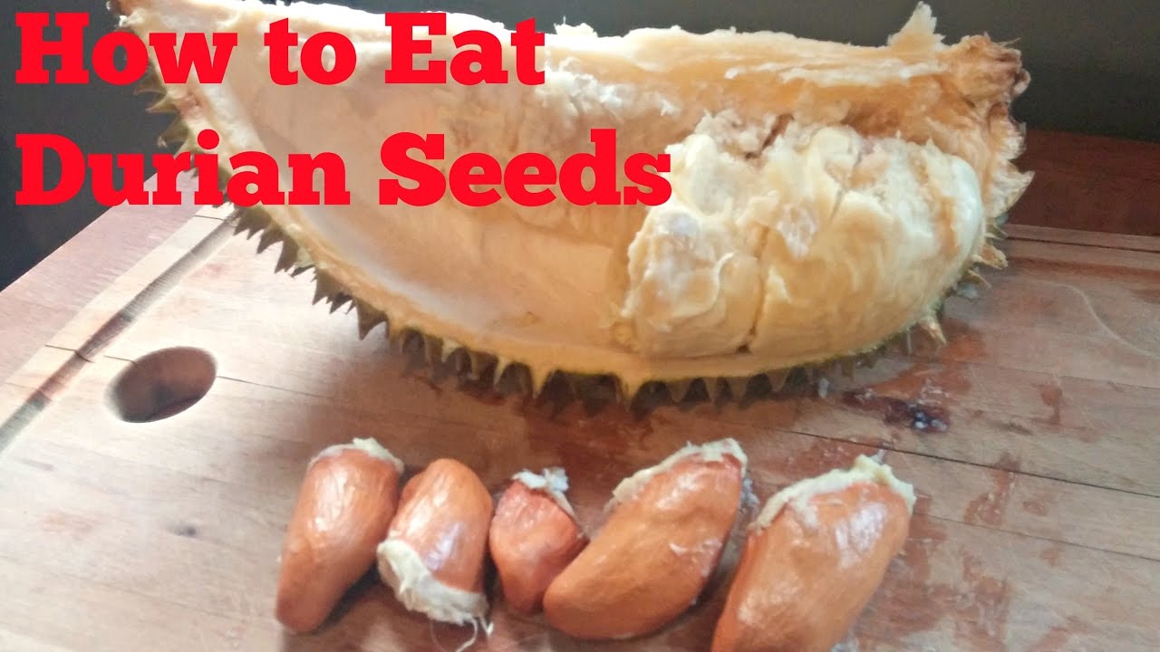 How to Eat Durian Seeds (Boiled, Roasted & Fried) - Weird Fruit Explorer Ep. 188