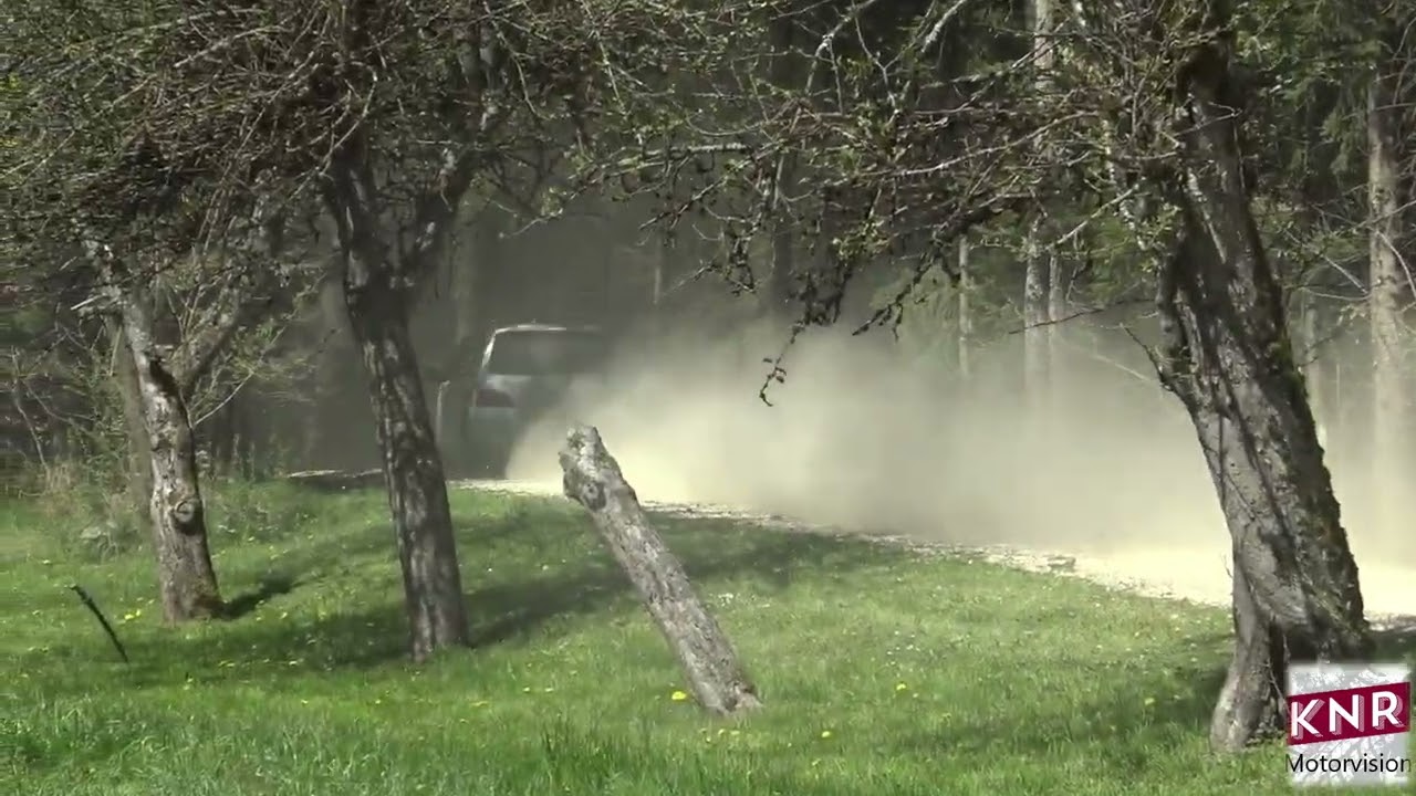 Lavanttal Rallye 2025 | Best of | Crash and Action