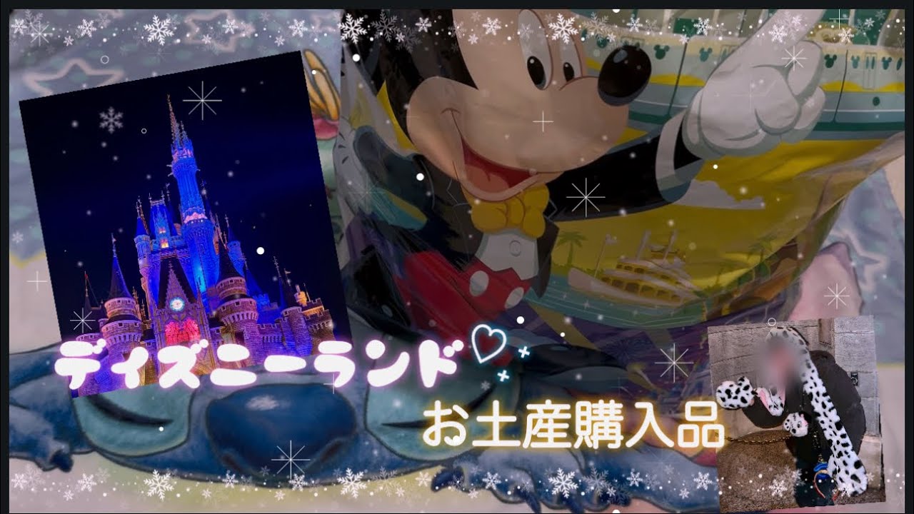 【購入品紹介】ディズニーランドお土産紹介！おすすめ品あり🙆‍♀