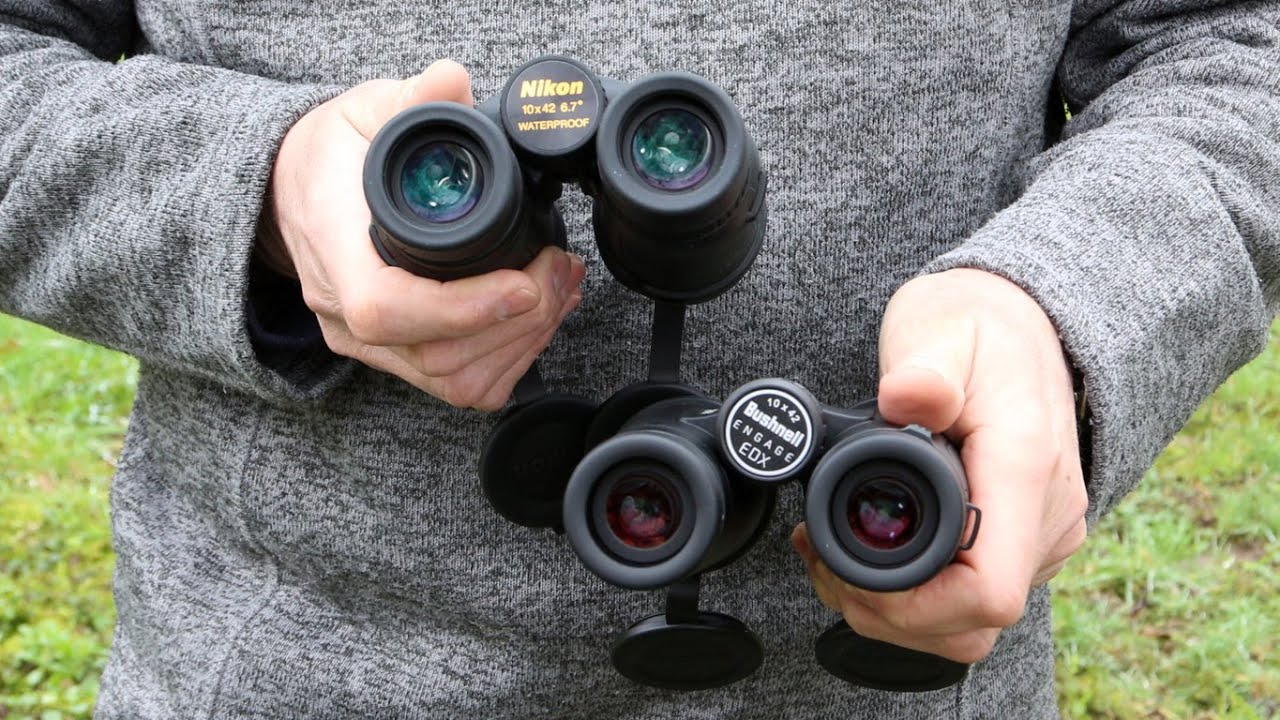 Essai comparatif Bushnell Engage EDX vs Nikon Monarch 7 10x42