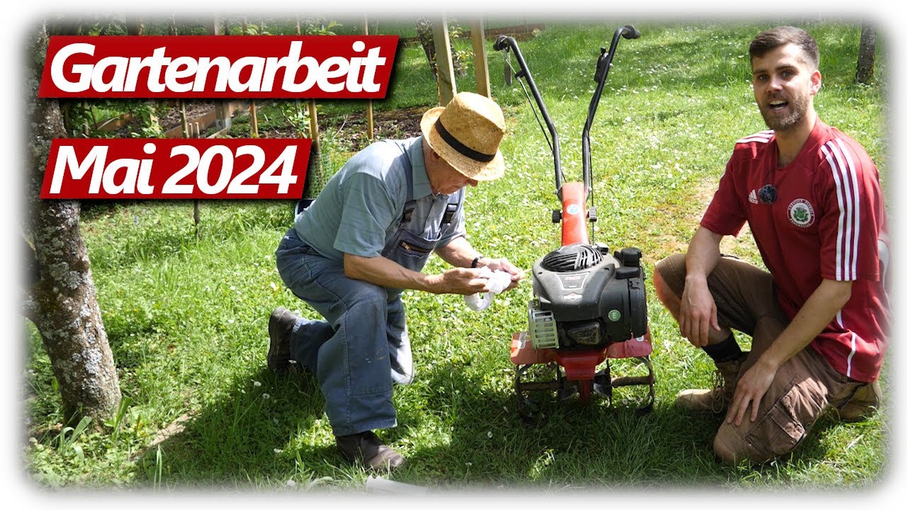 Gartenarbeit Mai | Frostschäden, Zwiebeln stecken, Beetvorbereitung, Hochbeet befüllen