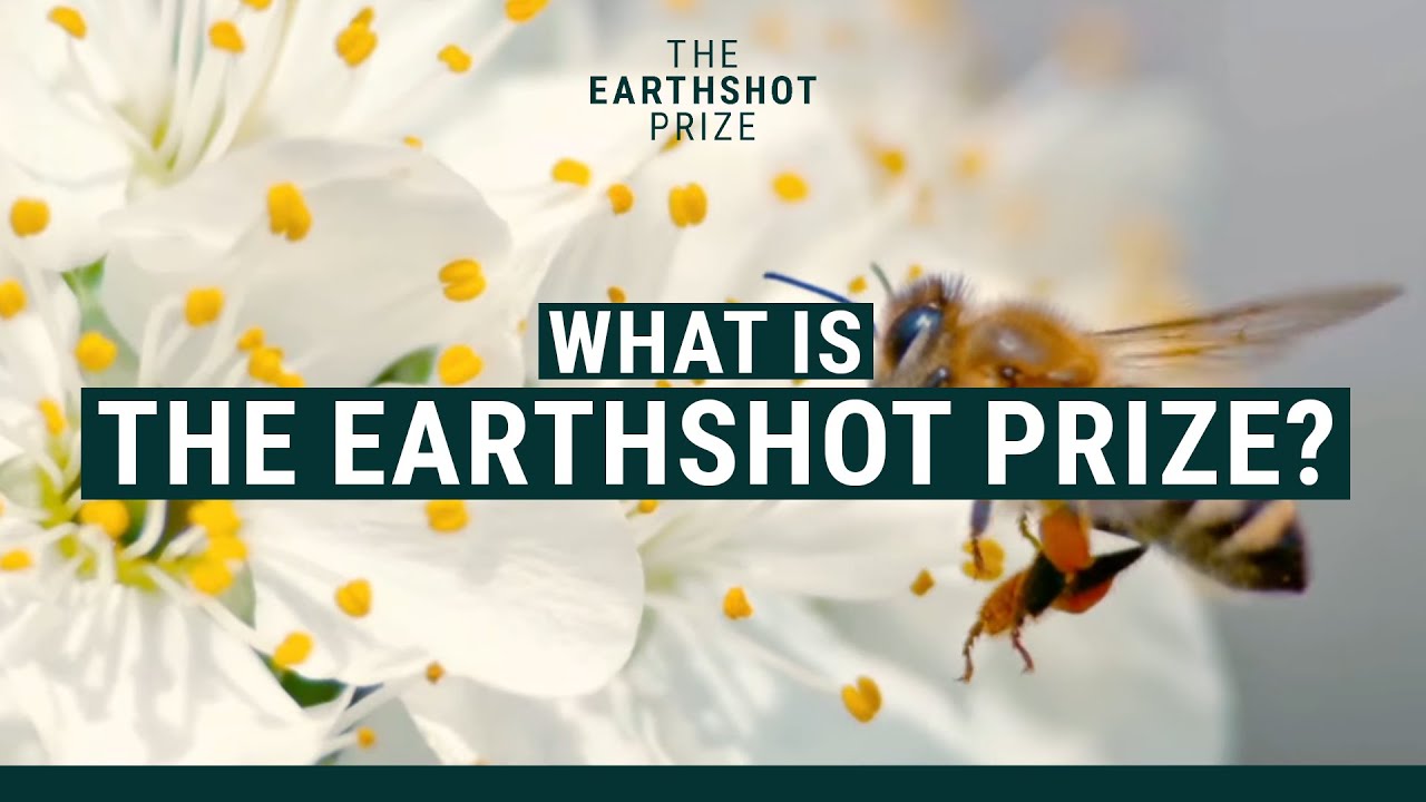 What Is The Earthshot Prize? 🌍🏆 | @EarthshotPrize