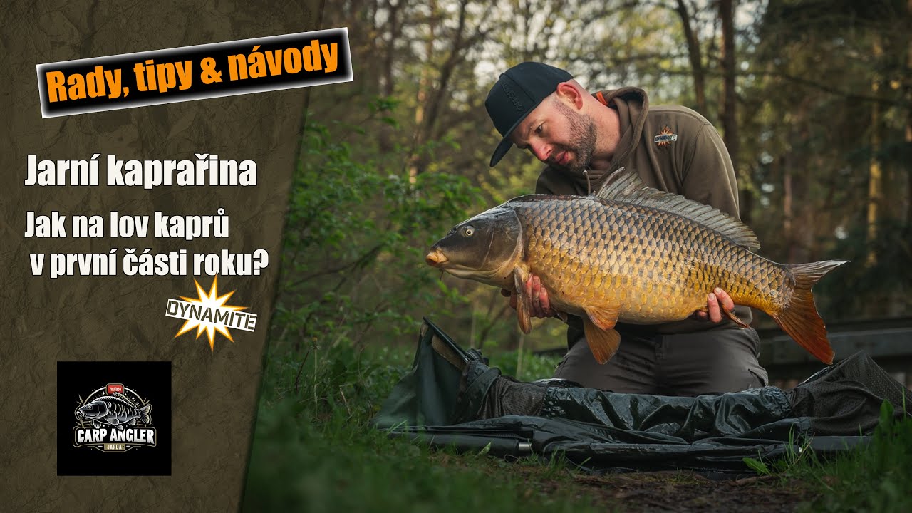 Jarní kaprařina - Jak na kapry v první části roku?