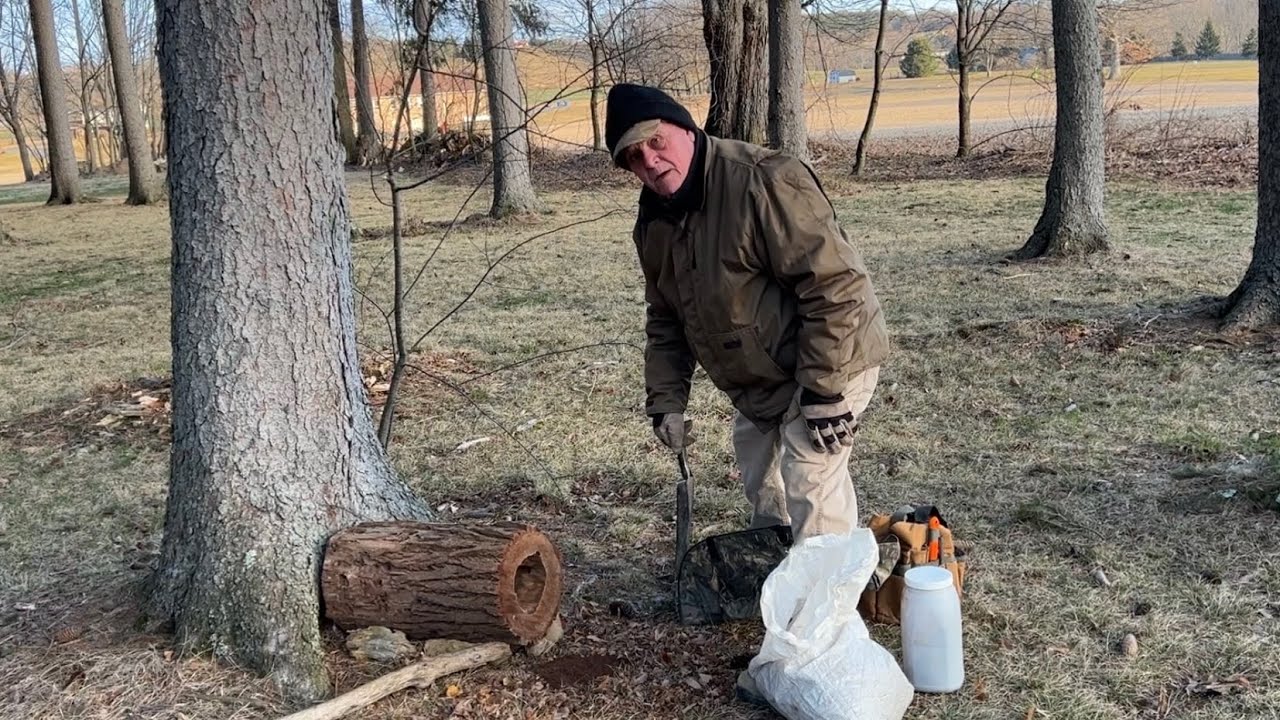 Fisher Log Cubbies with Hern Blett