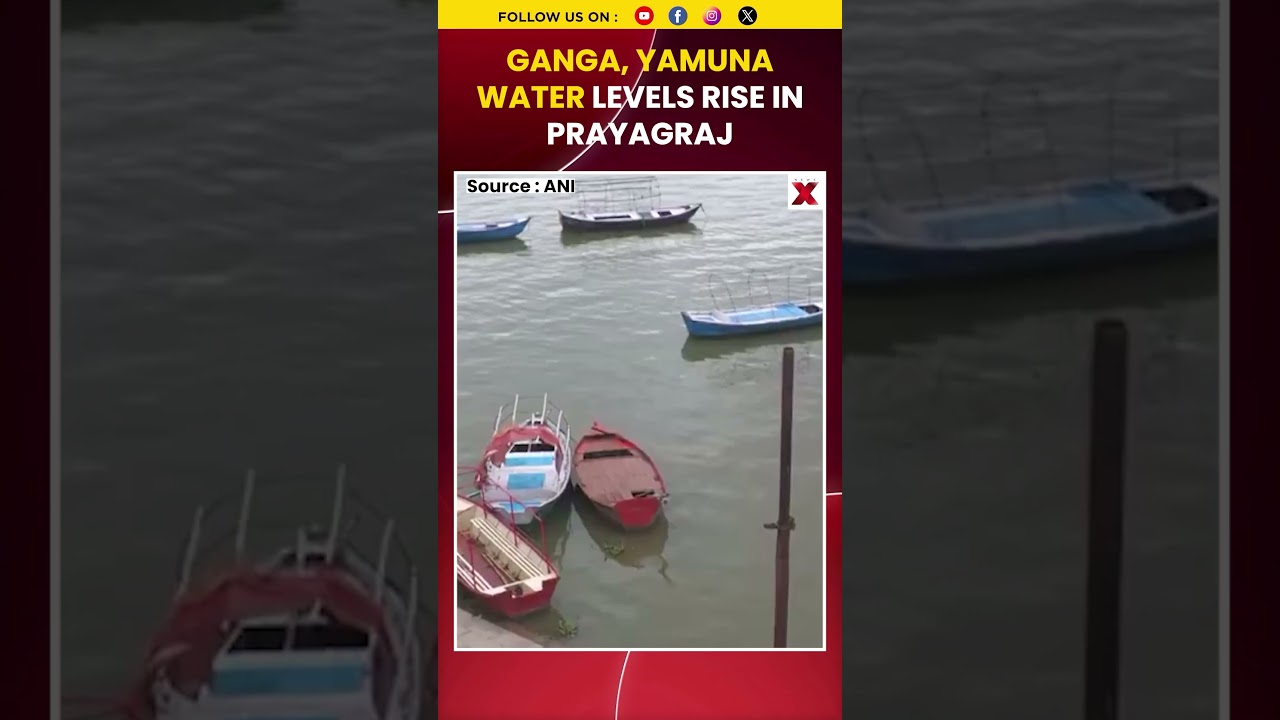 Prayagraj Sees Rising Ganga, Yamuna Water Levels Following Heavy Rainfall  #pyagraj #weather #shorts