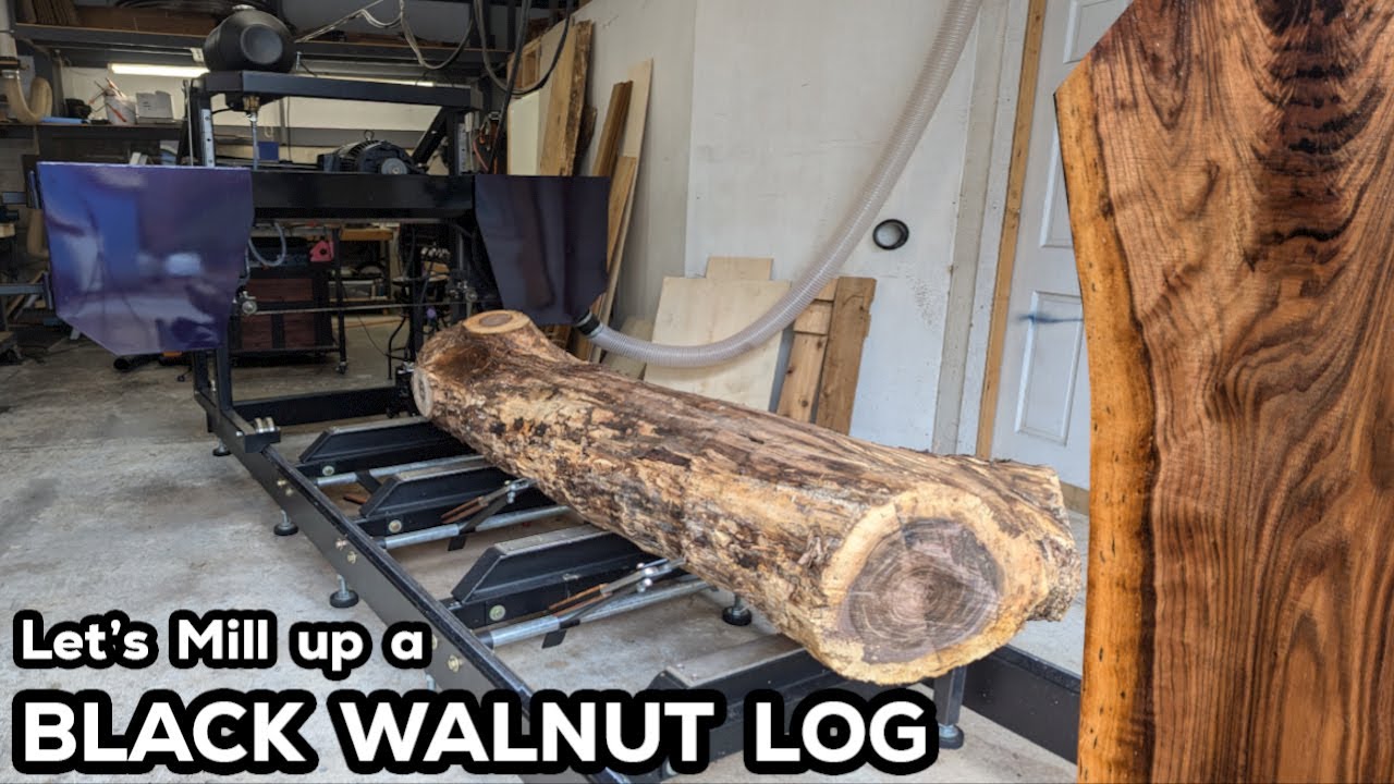 Slabbing up a Beautiful Black Walnut Log on My Custom Electric Bandsaw Mill