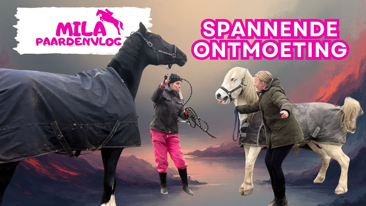 Spannende ontmoetingen tussen Troya, Jack en Angel!