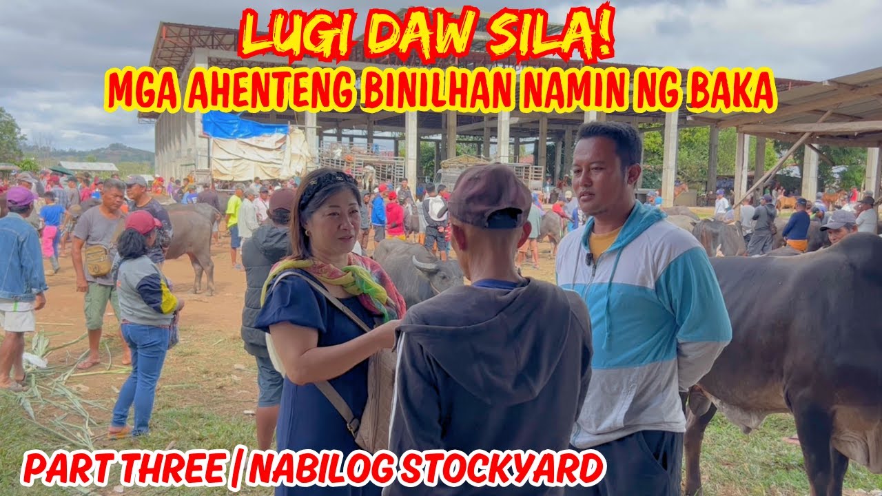 LUGI DAW SILA! MGA AHENTENG BINILHAN NAMIN NG BAKA | PART 3: NABILOG | SOLLE'S GANDANG BUHAY