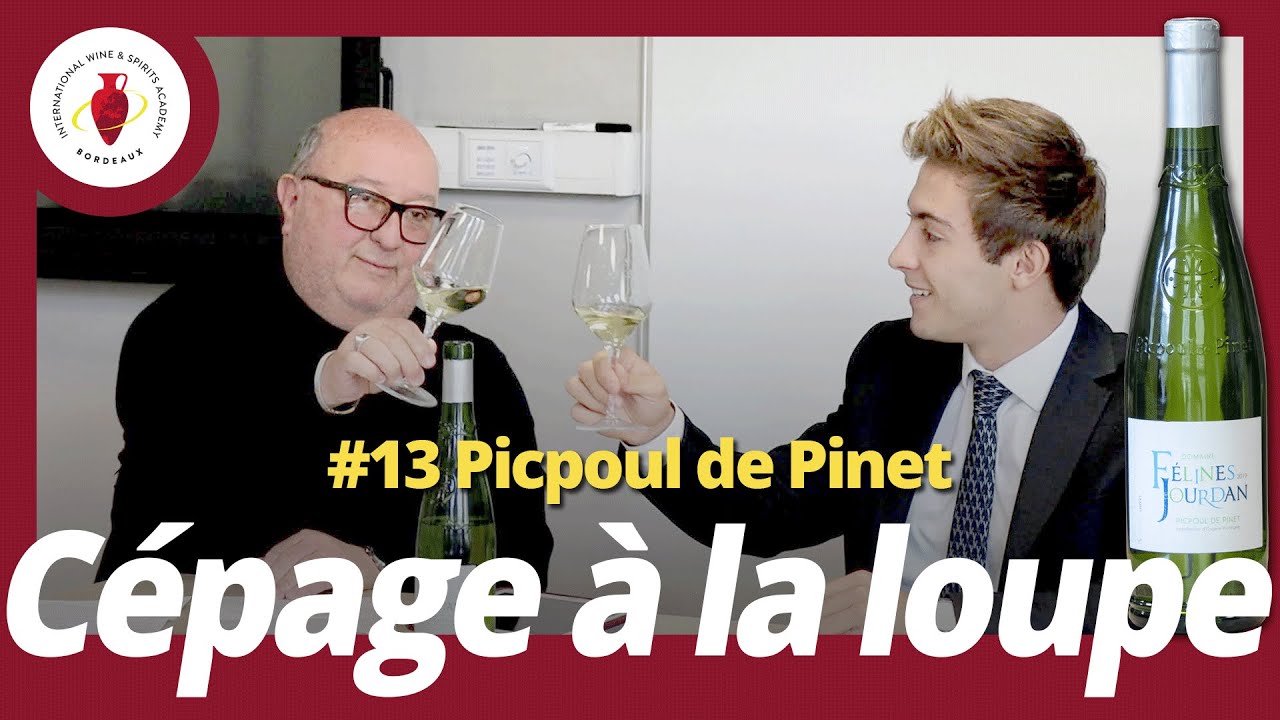/C&eacute;pages &agrave; la loupe/ #13 Picpoul de Pinet
