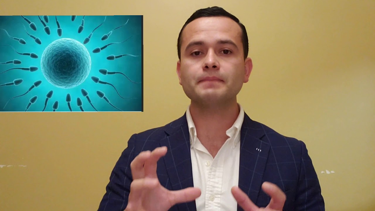 Que es la prostata?I urologo Dr. Mu&ntilde;oz
