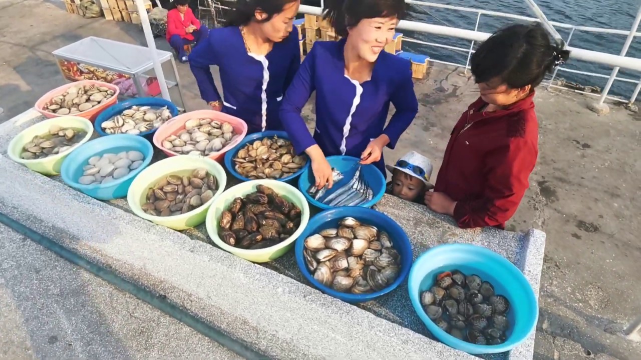 North Korean Food | SEAFOOD at Wonsan - Catch of the Day