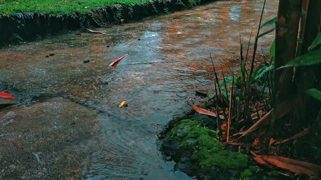🌧️ Rain Quietly Wanders Down a Forgotten Garden Lane | Deep Sleep Nature ASMR