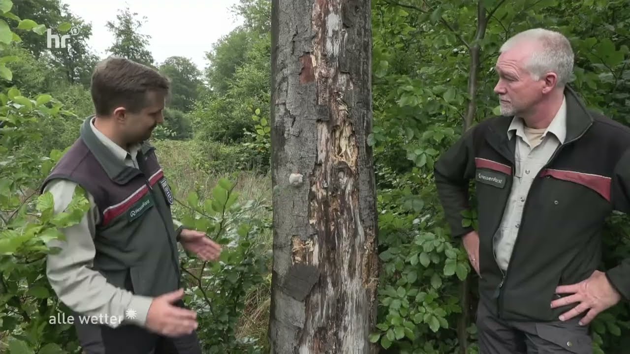 Projekt vom 01.08.2025 