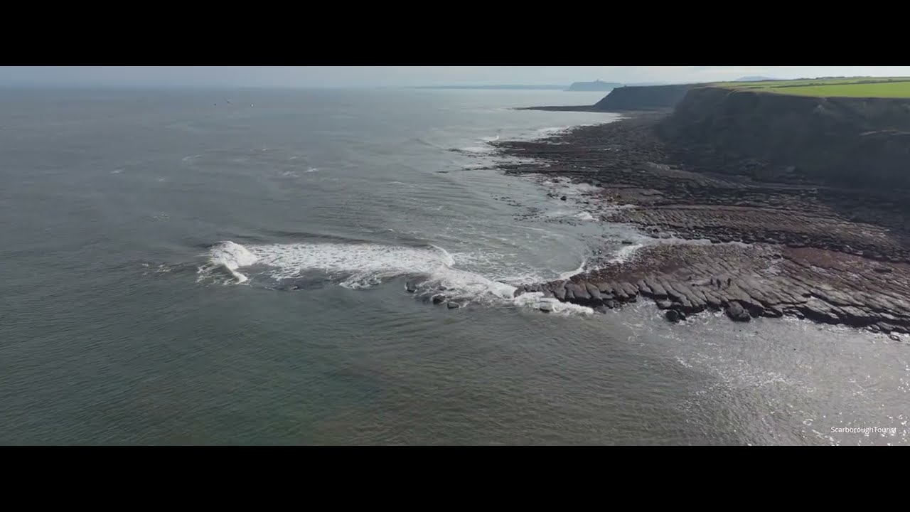 Полёты с птицами — Кливленд-Уэй (V2) — DJI Mini 5 Pro