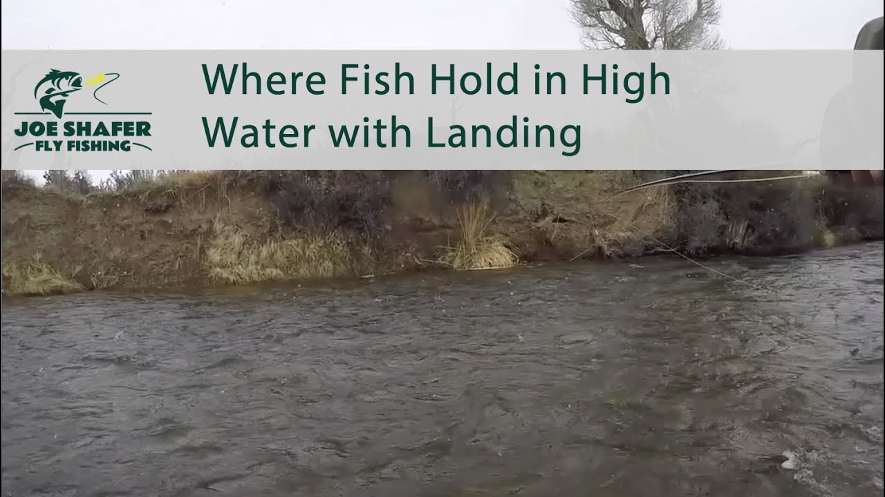 Where Fish Hold in High Water with Landing
