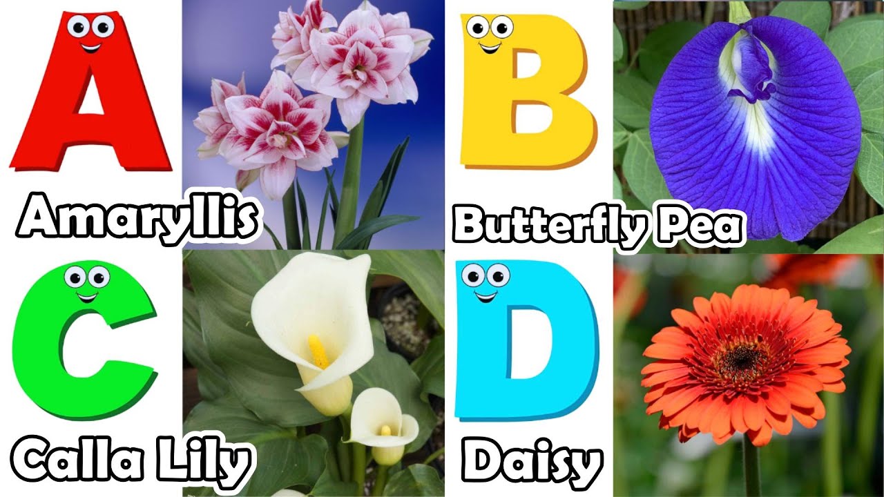 Flowers Alphabet Song | Flowers ABC Song | A to Z Flowers Names | Phonics for Kids