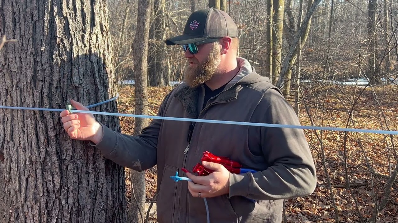Pulling a 3/16 Lateral Line
