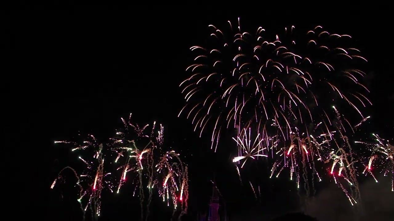 2026年へのカウントダウン花火　WDW　Magic Kingdom