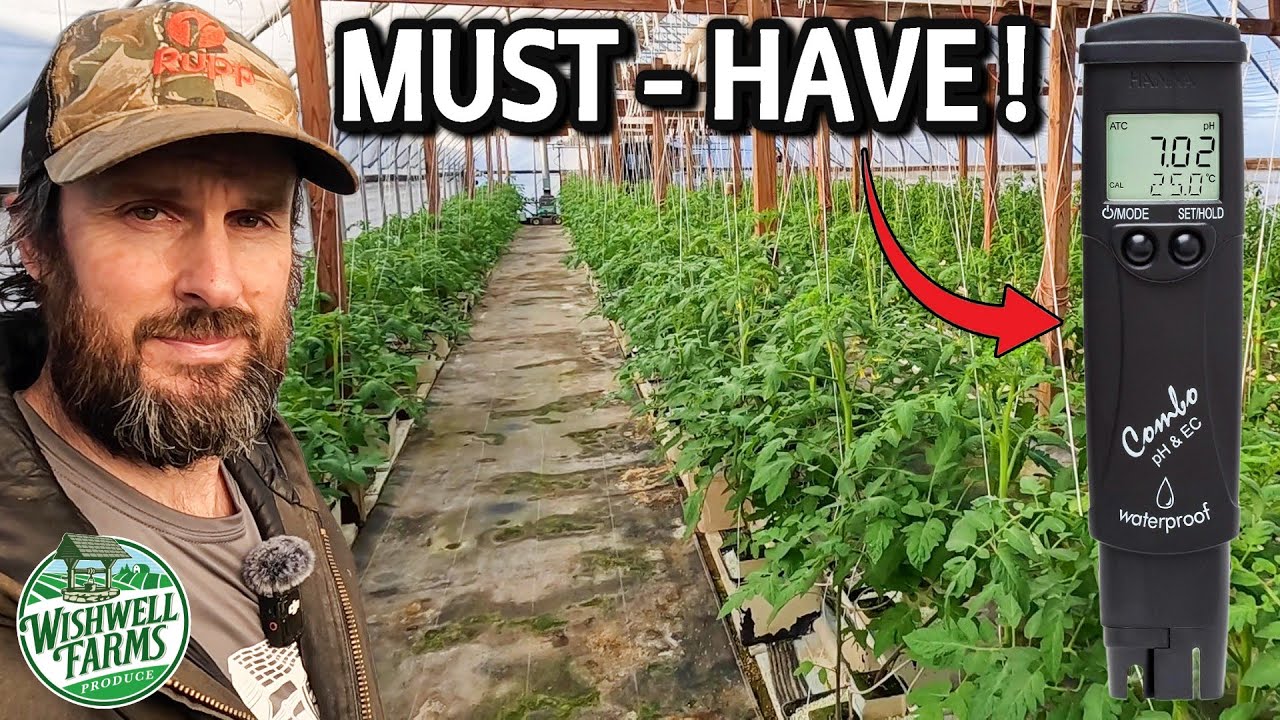 Essential Tasks for Growing Perfect Greenhouse Tomatoes!