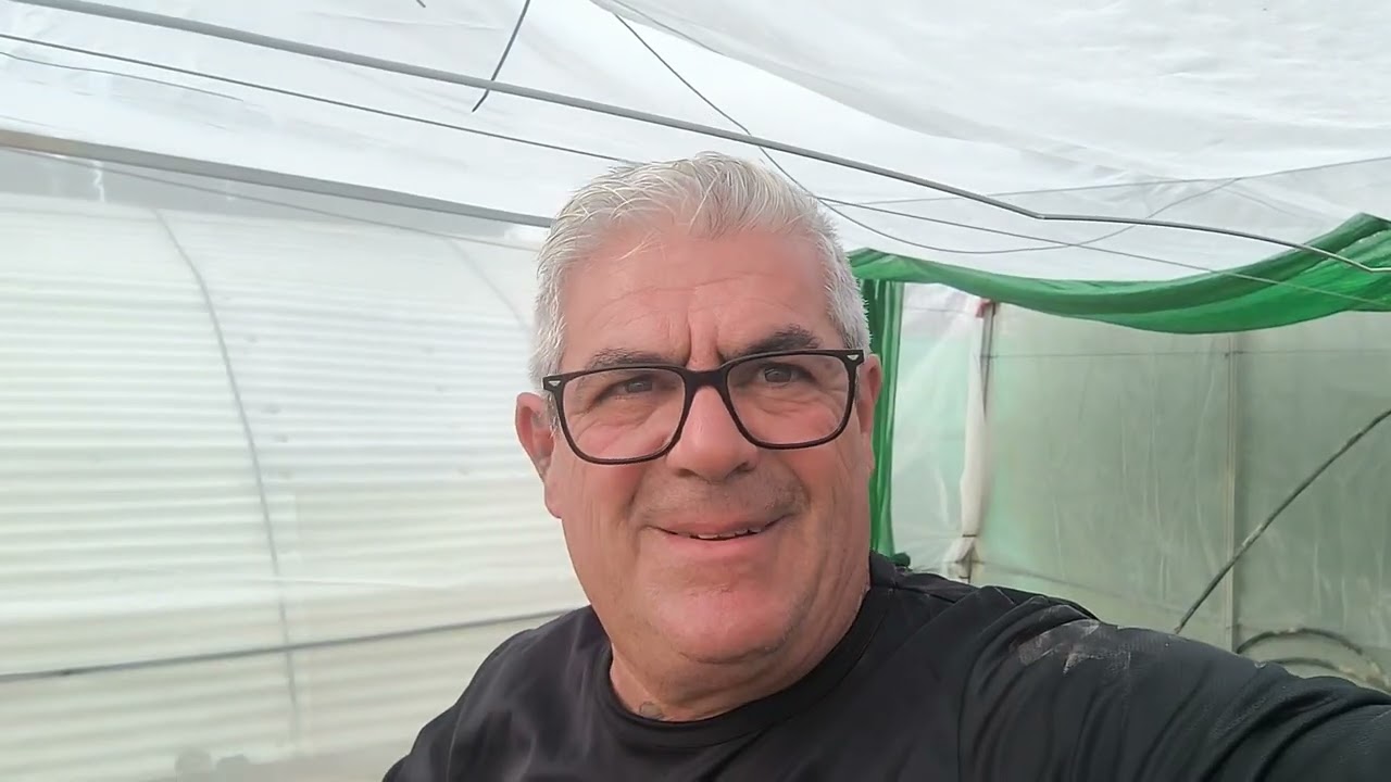 Segunda jornada de injerta dedicada a árboles de 3 variedades.