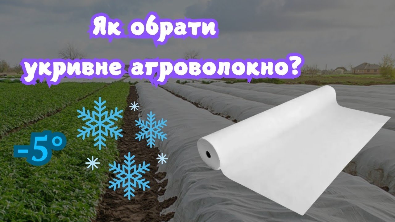 ЯК ОБРАТИ УКРИВНЕ АГРОВОЛОКНО?
