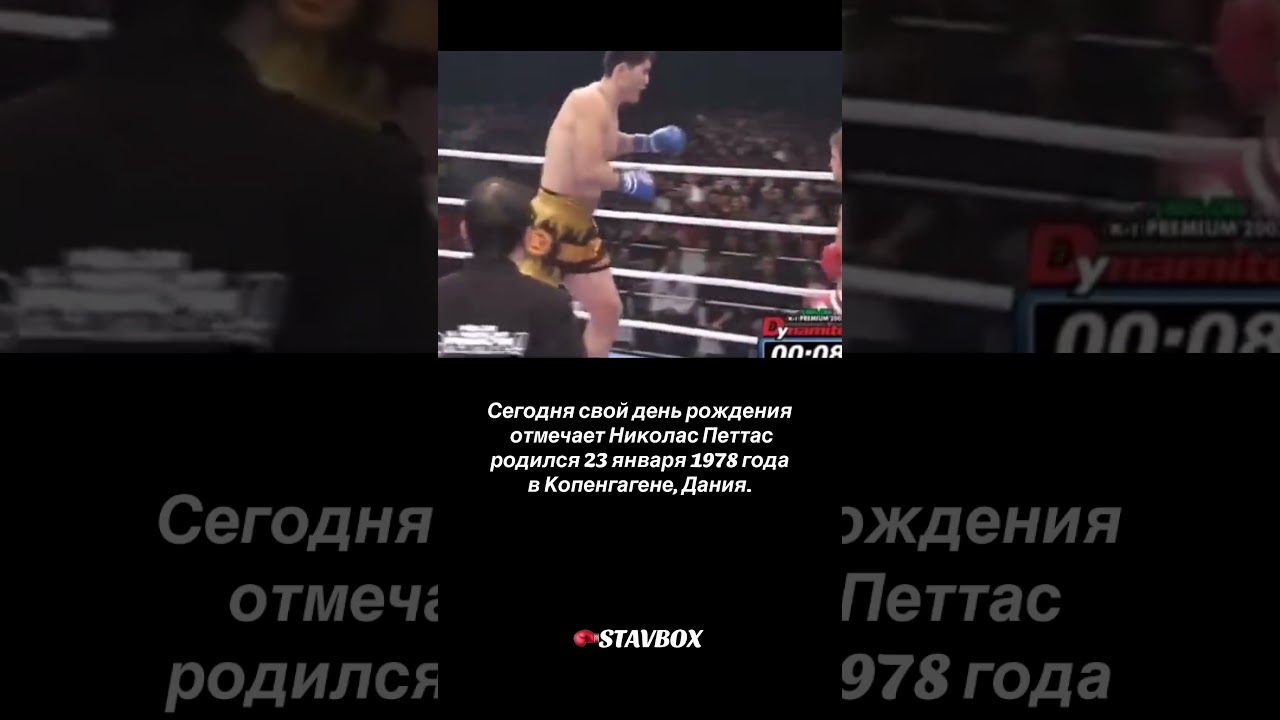 Сегодня свой день рождения отмечает Николас Петтасродился 23 января 1978 года в Копенгагене, Дания.