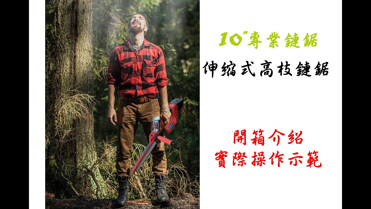 1000W(瓦) ~ 凶狠又快速 ~ 10"鏈鋸 (10"高枝鏈鋸)