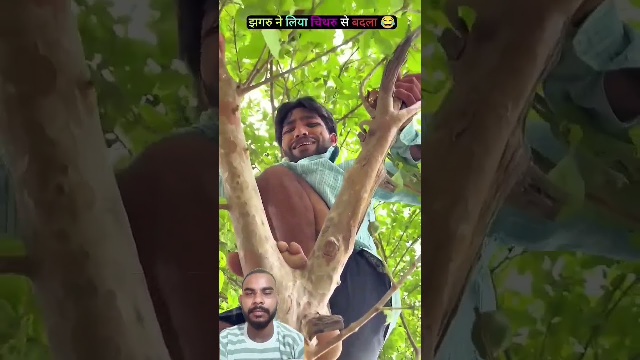 chitharu aur jhagaru ne li badla comedy funny 🤣🤣🤣🤣🤣🤣🤣🤣🤣🤣 saeth video